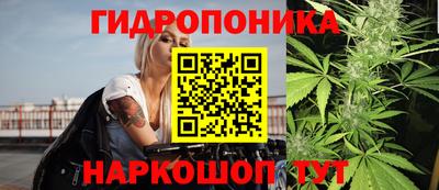 крисы Нягань