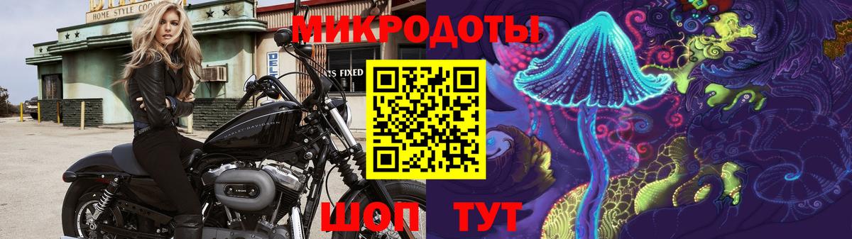 Псилоцибиновые грибы Magic Shrooms Северобайкальск