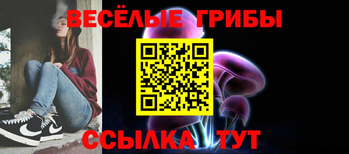 Галлюциногенные грибы Psilocybe  Вход с VPN  где купить наркоту  Северобайкальск 