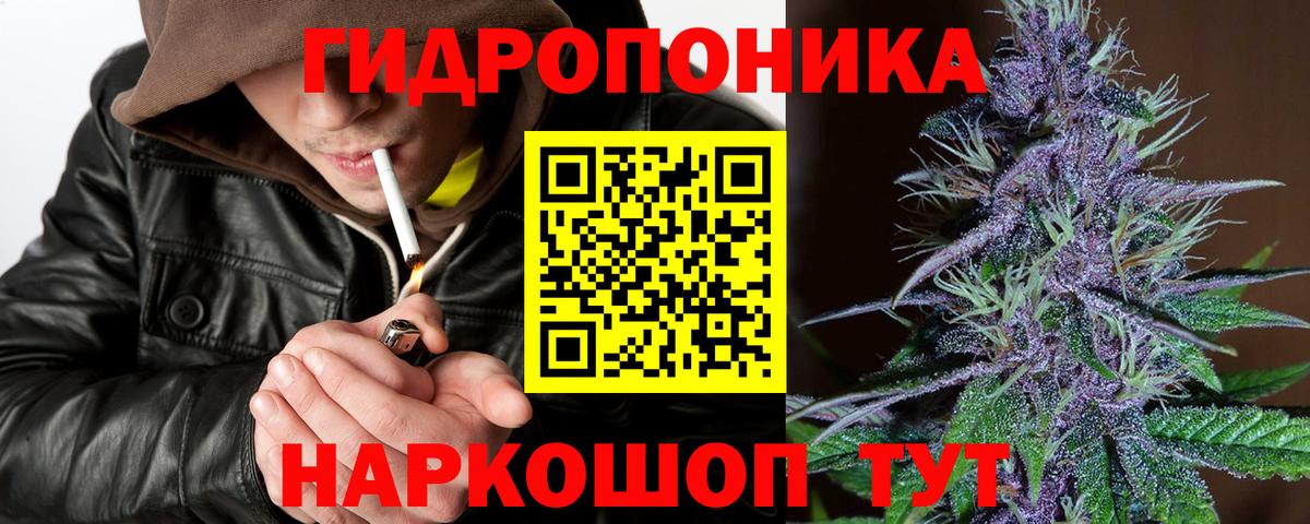Бошки марихуана Bruce Banner Северобайкальск